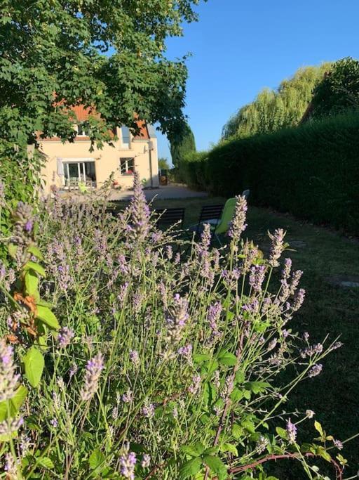 Maison Village, 10 Pers, Proche De La Plage Audinghen Luaran gambar
